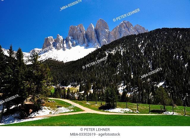 Italy, South Tirol, Villnösstal (Val di Funes), nature reserve, Alpine grassland, mountain forest, the Dolomites