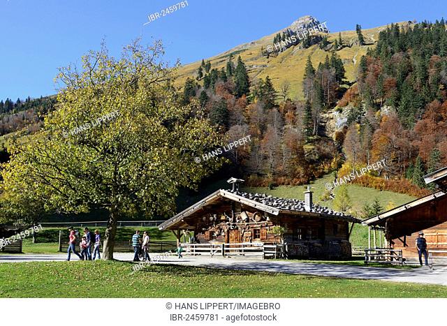 Alpine cabin or chalet, Eng Alm, Grosser Ahornboden, alpine pasture with sycamore maple trees, Karwendel Mountains, Risstal Valley, Tyrol, Austria, Europe