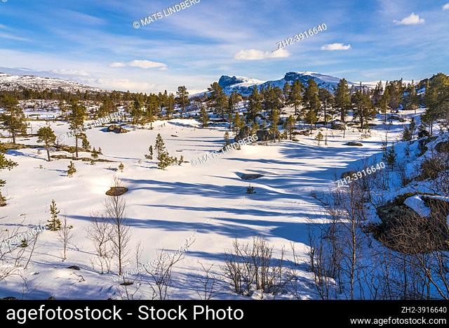 Spring time in the mountain area, plenty of snow, sunny weather, mountains in background, Stora sjöfallet nationalpark, Gällivare county, Swedish Lapland