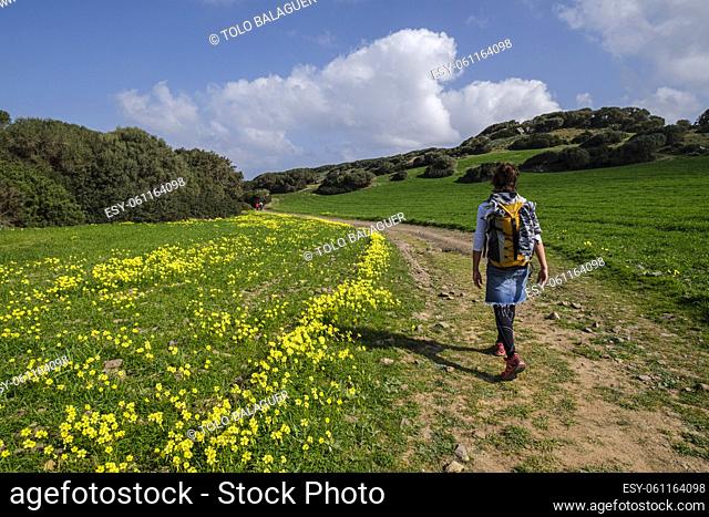 hiker walking the horse path, - Cami de Cavalls-, s'Albufera des Grau Natural Park, Menorca, Balearic Islands, Spain