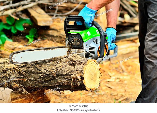 Photo: a man saws a log with a chainsaw turned on