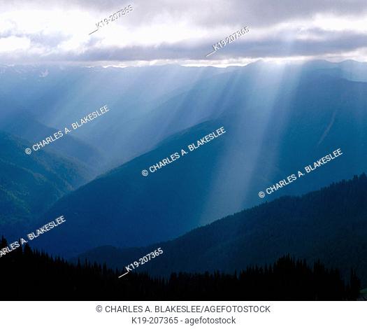 Afternoon sun rays scatter over the Olympic Mountains. Hurricane Ridge, Olympic National Park. Washington. USA
