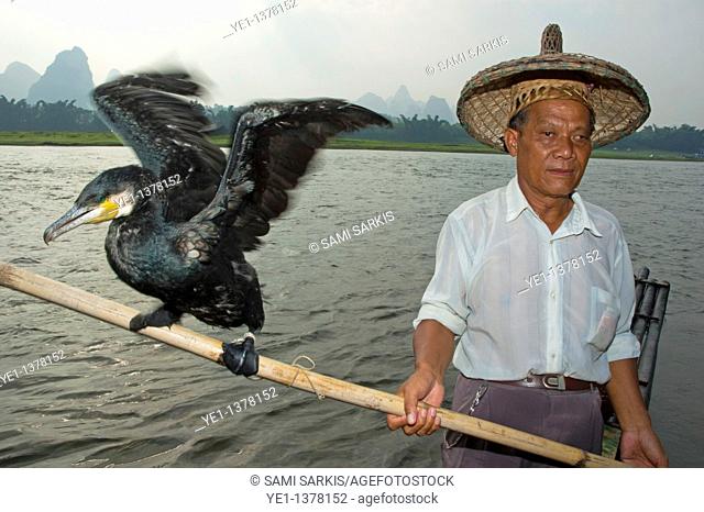 Portrait of a fisherman holding a pole with a cormorant balanced on the end, Li River, Yangshuo, Guangxi, China