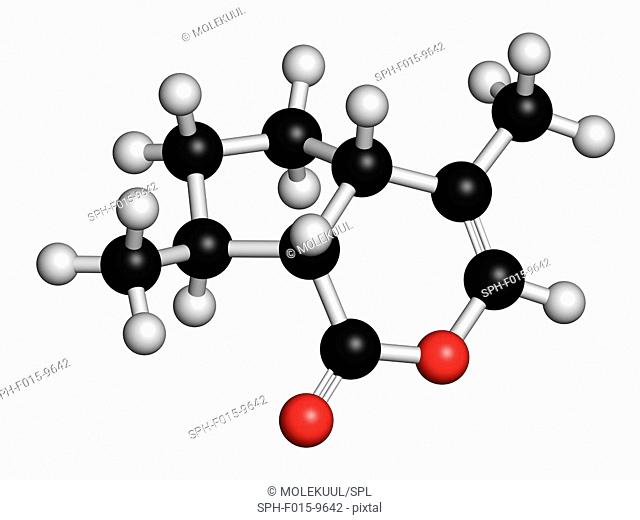 Nepetalactone catnip cat attractant, molecular model. Atoms are represented as spheres with conventional colour coding: hydrogen (white), carbon (black)