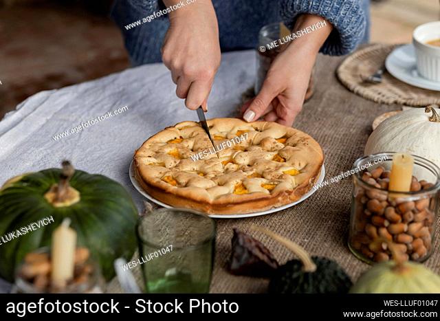 Hands of woman cutting homemade pumpkin pie