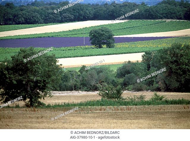 Tricastin, Landscape - Provence, France