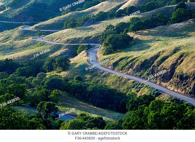 Car on twisting curves on road through grass hills and oak trees at sunset, Mount Diablo State Park, California