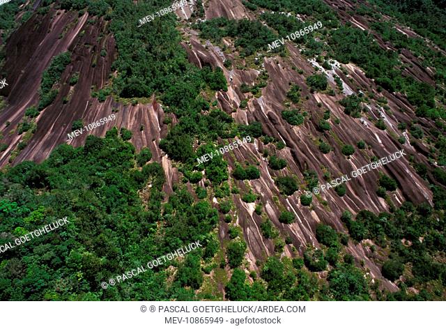 Inselberg - aerial view French Guiana forest. French Guiana