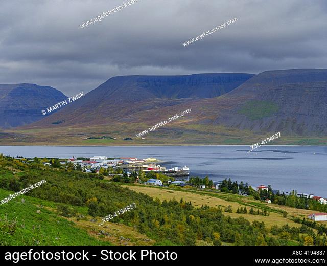 Landscape in Dyrafjoerdur near Thingeyri. The Westfjords (Vestfirdir) in Iceland during autumn. Europe, Northern Europe, Iceland