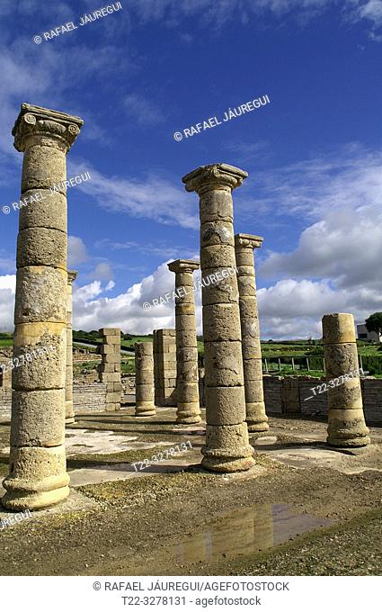 Rate (Spain). Columns of the forum of the Roman city of Baelo Claudia