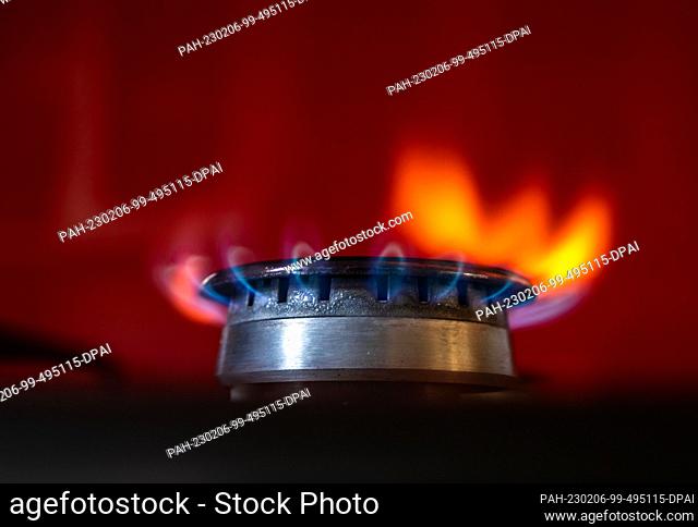 06 February 2023, Hesse, Frankfurt/Main: The flame of a gas stove burns in a kitchen. The price and availability of gas has been a recurring theme in politics...
