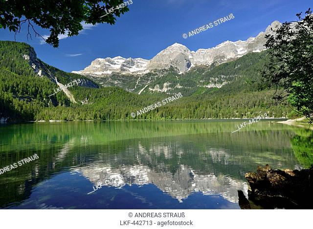 Lake Tovel with Brenta range, lake Tovel, Brenta range, Brenta, Dolomites, UNESCO World Heritage Site Dolomites, Trentino, Italy