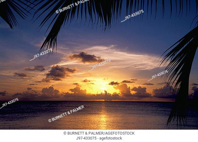 Palm frond silhouettes frame a stunning sunset of Grand Cayman's Seven Mile Beach, Cayman Islands, Atlantic Ocean