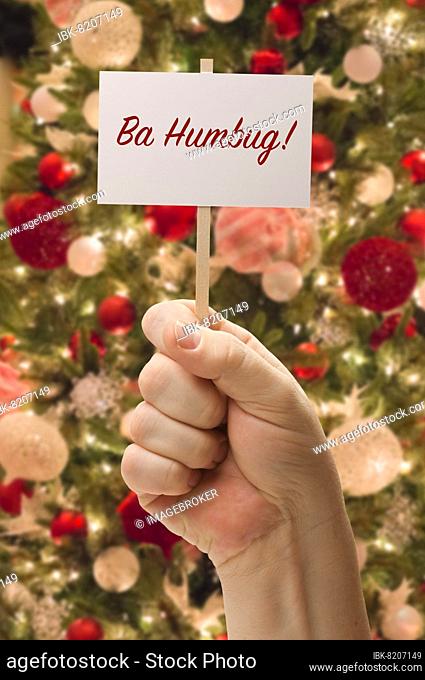 Hand holding ba humbug card in front of decorated christmas tree