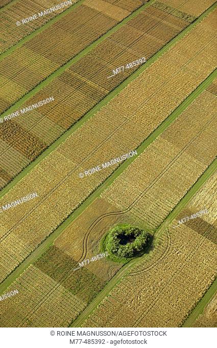 Agricultural test area, aerial view. Skåne. Sweden
