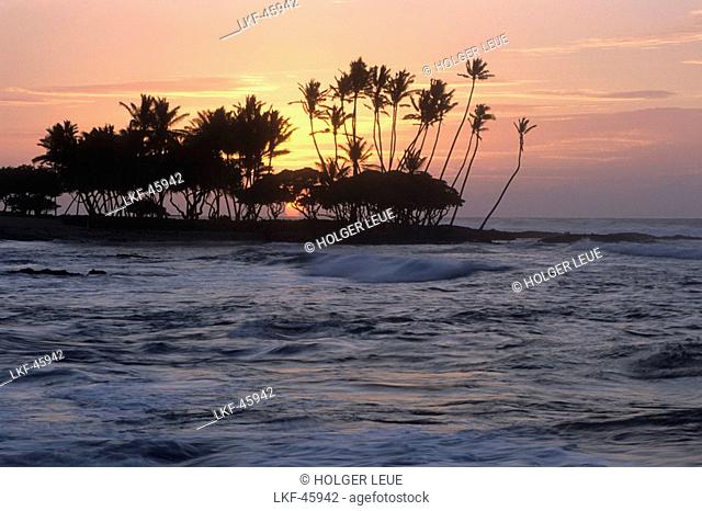 Sunset Silhouette, The Fairmont Orchid Hotel, Kohala Coast, Big Island Hawaii, Hawaii, USA