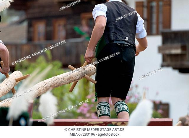 Erecting the Maypole, Man in traditional costume, Bavaria, Germany
