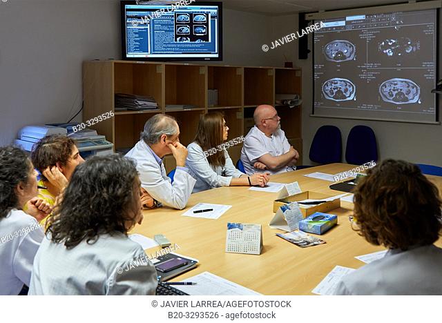 Committee of Tumors, Oncology, clinical session, Hospital Donostia, San Sebastian, Gipuzkoa, Basque Country, Spain