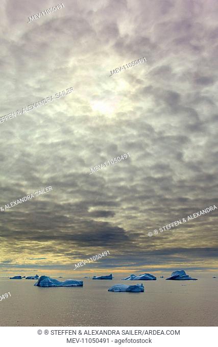 Iceberg melting iceberg drifting Arctic ocean Summer Davis Strait, Greenland, Arctic, Denmark