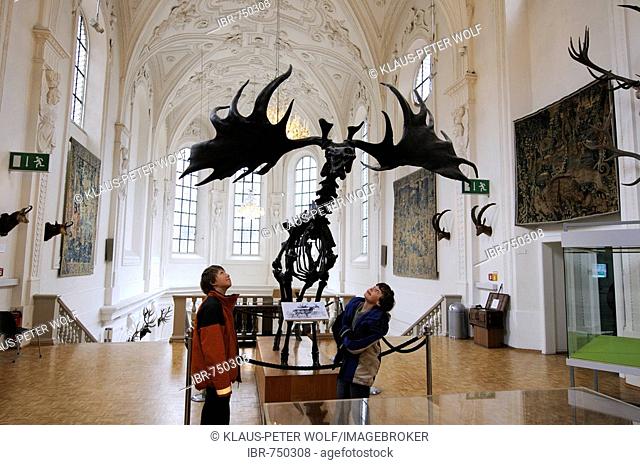 Children looking up in awe at a Megaloceros skeleton, Deutsches Jagd- und Fischereimuseum (German Hunting and Fishing Museum), Munich, Bavaria, Germany