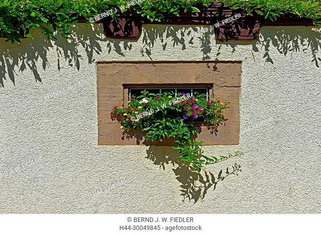 Flowers, blossoms, windows, decoration, detail, Annweiler in the Trifels Germany