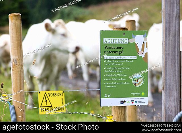 PRODUCTION - 04 August 2021, Baden-Wuerttemberg, Bernau: A sign with the inscription ""ATTENTION grazing animals on the road!"" points out the rules of conduct...