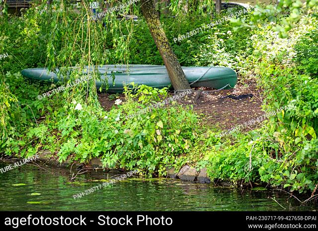 PRODUCTION - 04 July 2023, Hamburg: A canoe is laid down on the bank of the Mundsburg Canal with a metal chain without regard for the vegetation