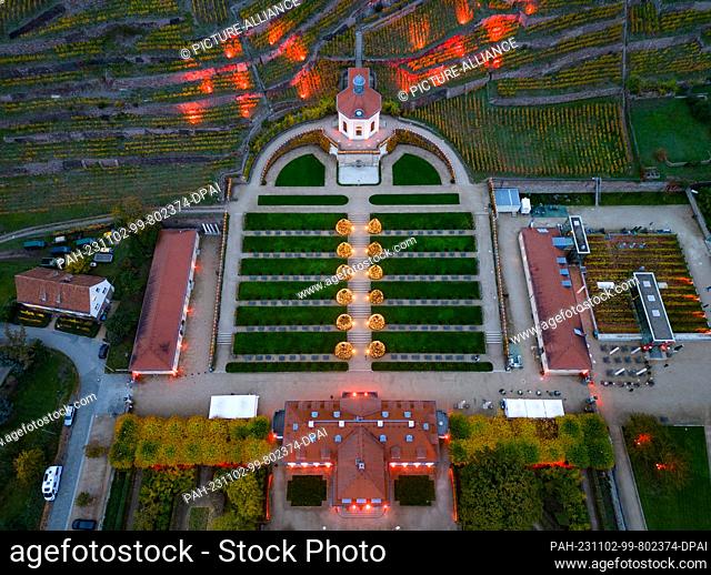 02 November 2023, Saxony, Radebeul: The grounds of the Saxon State Winery with the Belvedere are illuminated during a lighting rehearsal before the start of...