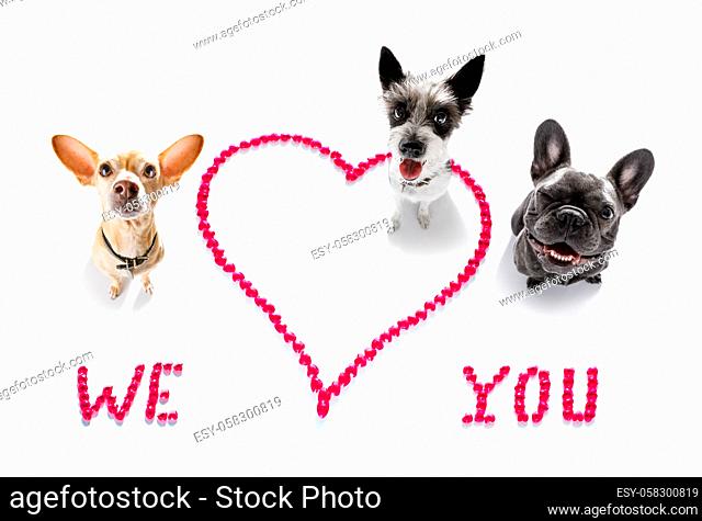 group row team of dogs on valentines love heart shape with I love you sign as background isolated on white