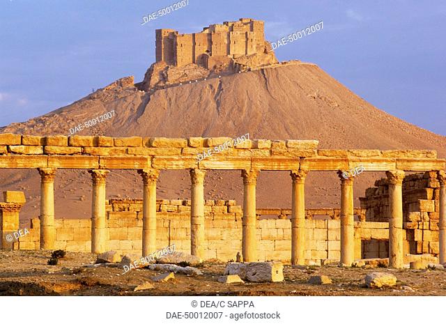 Syria - Palmyra (World Heritage Site by UNESCO, 1980). Ruins of the ancient city of I / II century AD and, on the hill, the castle of Arab Qalaat ibn Maan XVI /...