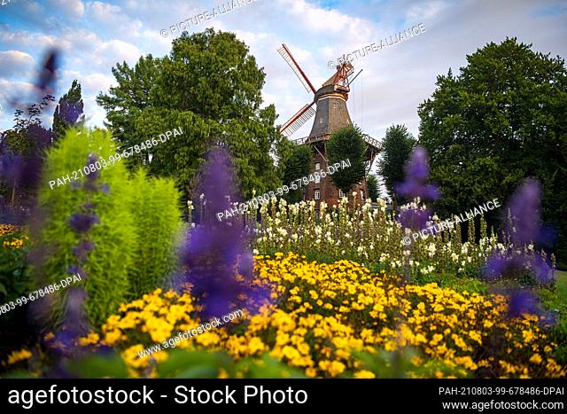 03 August 2021, Bremen: Purple, yellow and white flowers bloom on artfully arranged beds in front of the mill on the rampart. Photo: Sina Schuldt/dpa