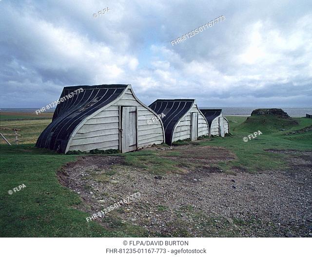 Upturned fishing boats used as sheds, Lindisfarne, Northumberland, England