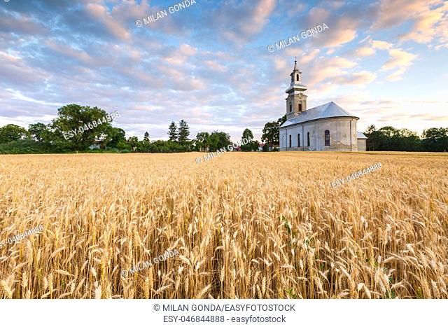 Rural landscape with wheat field and a church in Turiec region, central Slovakia.