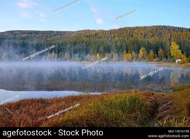 lake, fog, sunrise, morning, autumn, schluchsee, black forest, baden-württemberg, germany
