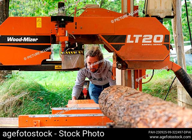 PRODUCTION - 19 September 2023, North Rhine-Westphalia, Kierspe: Timo Gelzhäuser saws a tree trunk with a band saw. Siblings Lisa and Timo Gelzhäuser are...
