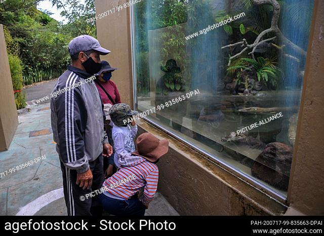 17 July 2020, Ecuador, Quito: A child and a crocodile caiman (Caiman crocodilus) look at each other in the Guayllabamba Zoo