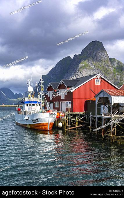 Rorbuer, typical wooden houses, fishing boat in harbour, Reine, Moskenesöy, Lofoten, Nordland, Norway, Europe
