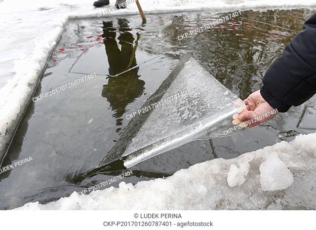 Fishermen cut through the ice on the city pond at Prerov, Czech Republic, on Thursday, January 26, 2017. More than 20cm thick ice is being cut in the blocks...