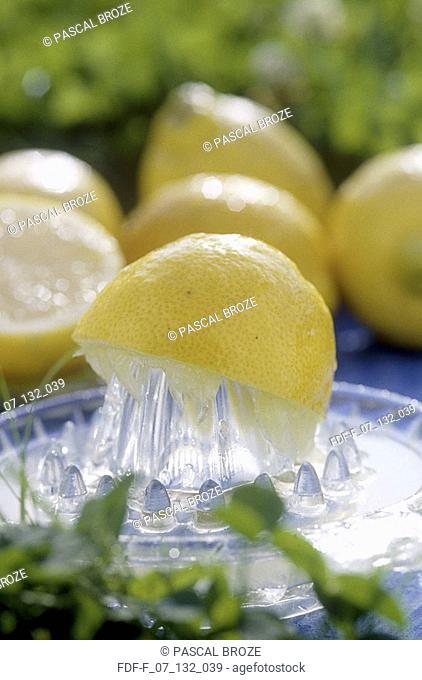 Close-up of a juicer with a lemon