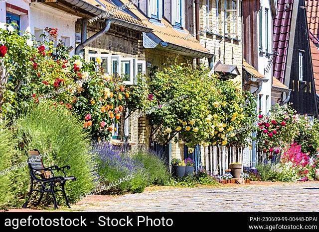 09 June 2023, Schleswig-Holstein, Schleswig: Ornate houses stand in the Schleswig fishing settlement of Holm. The name Holm comes from Danish and means 'small...