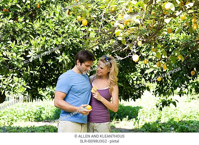 Couple by lemon tree
