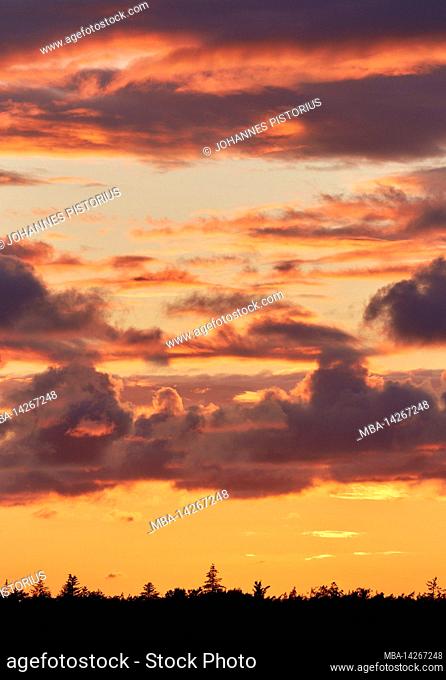 Europe, Denmark, North Jutland, Skagen. Evening sky over North Jutland