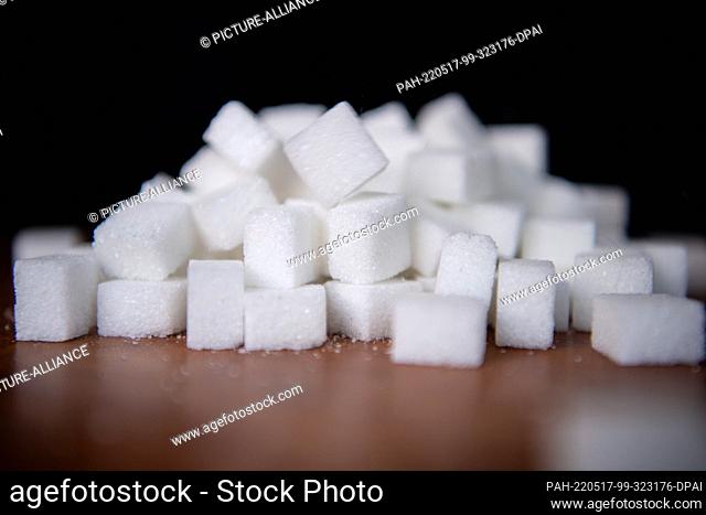 11 May 2022, Bremen: ILLUSTRATION - Sugar cubes lie stacked on a table. Photo: Melissa Erichsen/dpa. - Bremen/Bremen/Germany