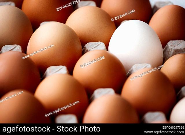 A white chicken egg among many yellow eggs lies on a cardboard box. A special egg, different from the others