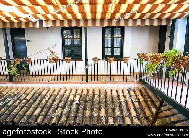 Patio, inner courtyard of the Hotel, Sevilla, Andalusia, Spain, Europe