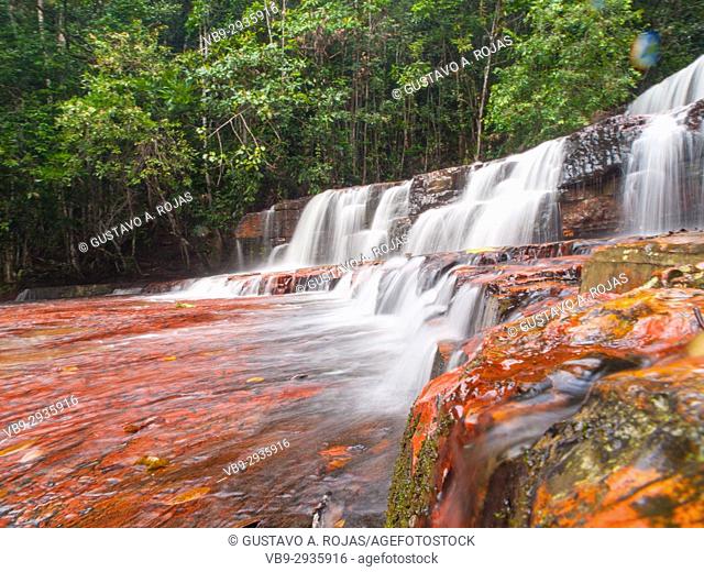 Quebrada de Jaspe, Bolívar, Gran Sabana, Venezuela, South America River, red Jaspis, water surface, Leaf, drives South America