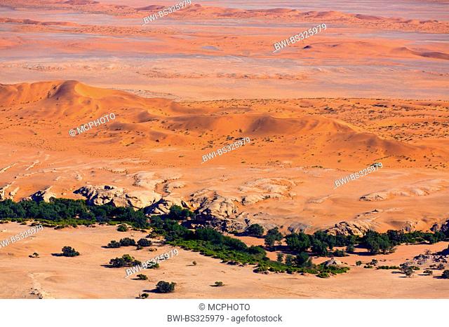 Namib desert in Namibia, Namibia, Namib Naukluft National Park, Sossusvlei, Swakomund