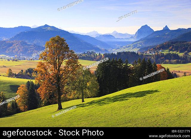 Einsiedeln, Great Myths, Little Myths, View from Etzel, Central Swiss Alps, Schwyz, Switzerland, Europe