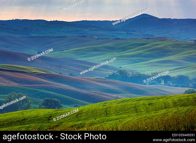 Tuscany foggy morning, farmland hill country landscape. Italy, Europe