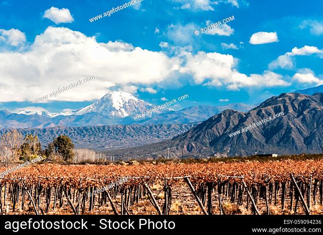 Volcano Aconcagua and Vineyard. Aconcagua is the highest mountain in the Americas at 6, 962 m (22, 841 ft). It is located in the Andes mountain range